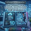 Miniaturka oferty artykułów sponsorowanych w kategorii informatyka, komputery i nowe technologie – 10 wyselekcjonowanych domen z ruchem i widocznością w Google